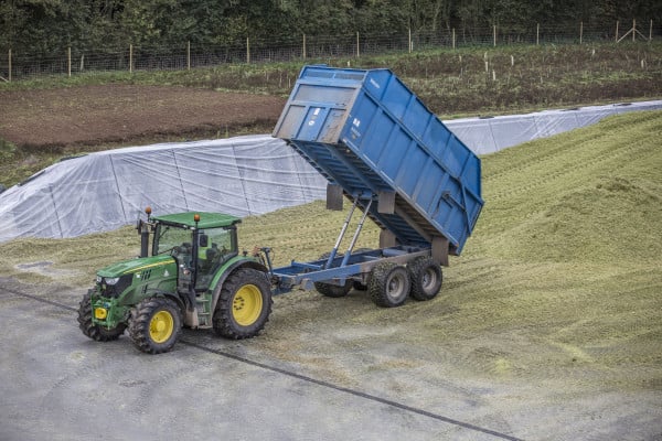 Tractor emptying trailer of silage in precast concrete silage clamps at Harper Adams University